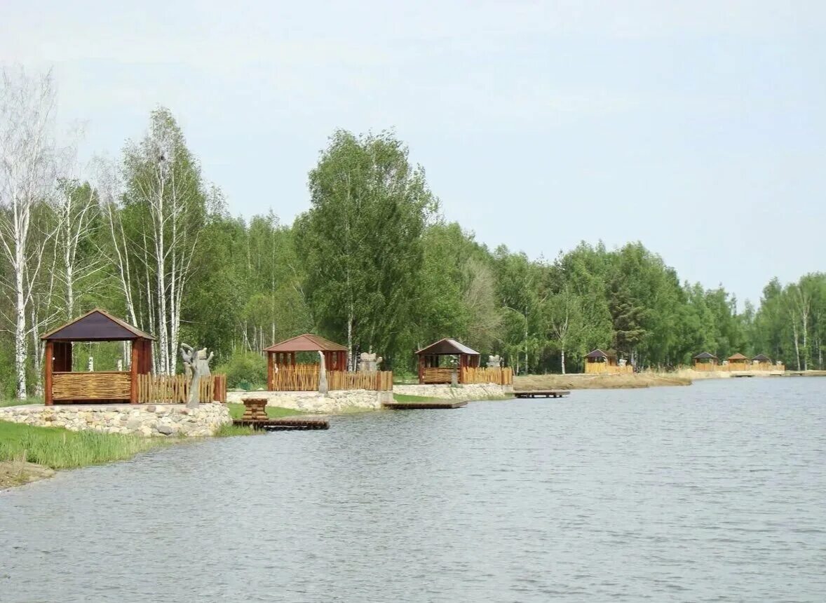 Рыбалка летом. Рыба река дон липецкая область. Рыбалка на пруду. Ближайшие озера для рыбалки. Место для рыбалки.
