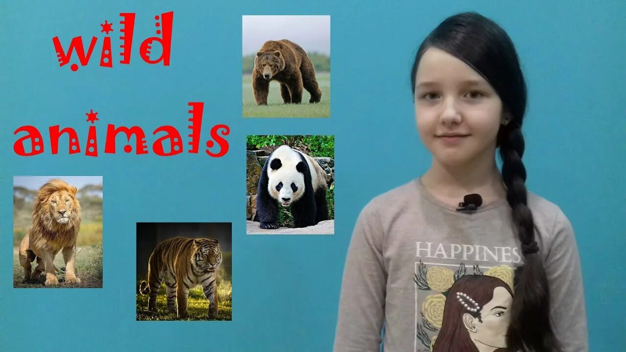 Английский язык wild animals. Животные на английском. названия животных на английском 2 класс. дикие животные английский язык 3 класс.