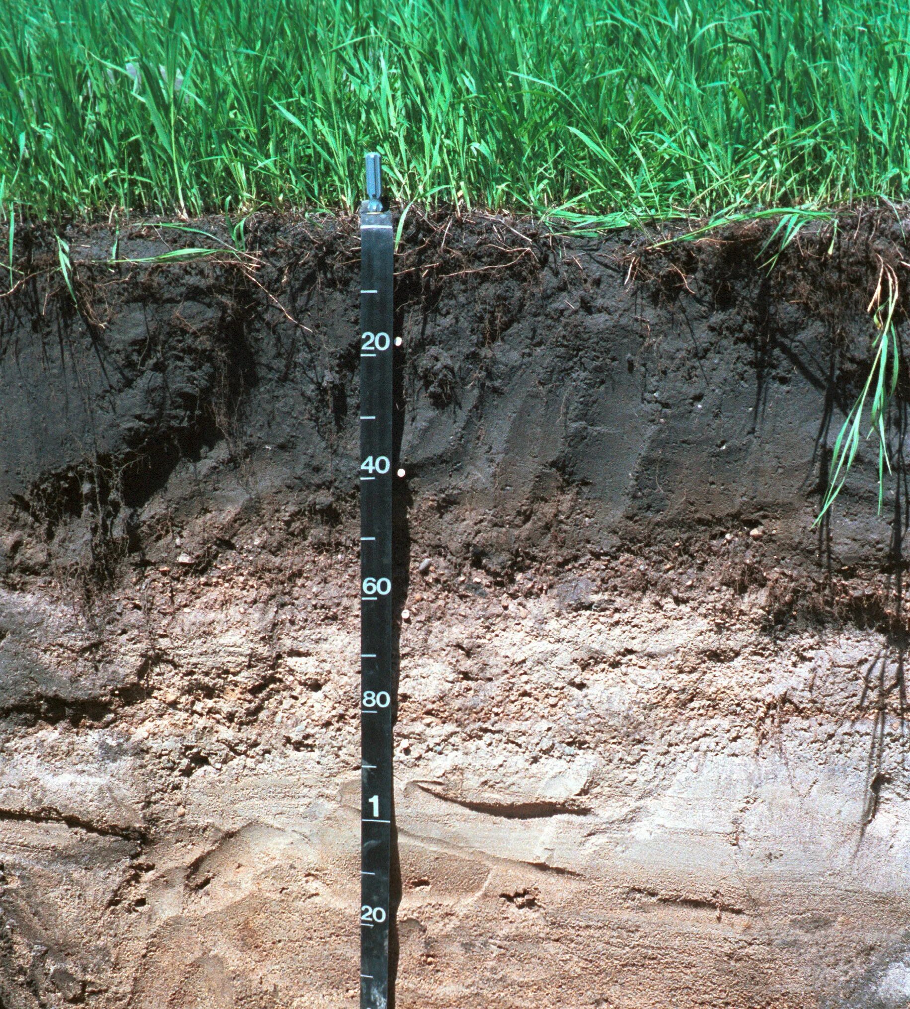 Материал для стабилизации грунтов. Грут маленький игрушка вязаная. Дорожная одежда щебень с битумом. Почвенный раствор. Пласты грунта.