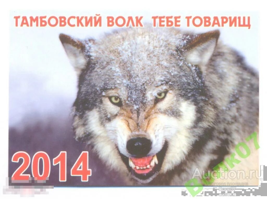 Выражение тамбовский волк. Тамбовский волк октябрьская 95б. Тамбовский волк тебе товарищ. Тамбовский волк тебе товарищ памятник в тамбове. Тамбовский волк тамбов.
