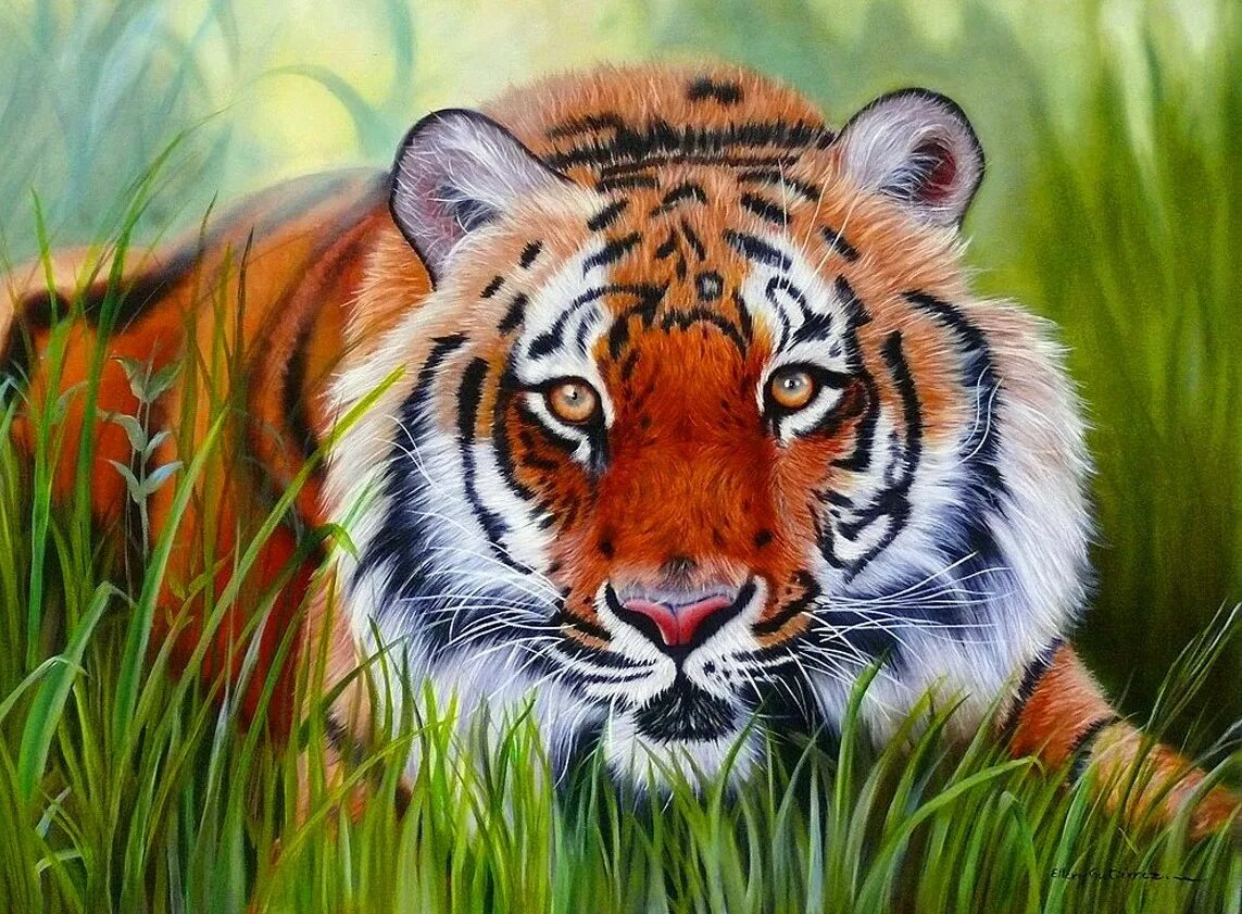 Tiger grass color