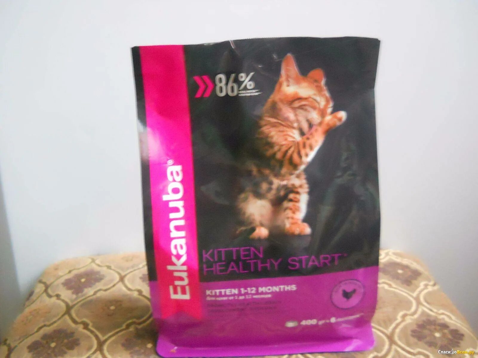 Лучшие корма для кошек супер. Eukanuba Kitten healthy start. Корм для кошек супер премиум класса. Корм для кошек премиум класса super. Жидкие корма для котят премиум класса.