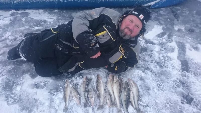 Рыбинское водохранилище зимняя рыбалка. Плотва на рыбинском водохранилище. Рыбинка судак. Рыбинское водохранилище рыбалка зимой. Рыбинское водохранилище рыбалка зимой.