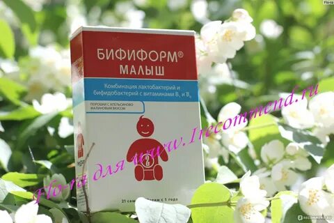 Бифиформ кидс