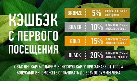 Токио сити карта лояльности как получить