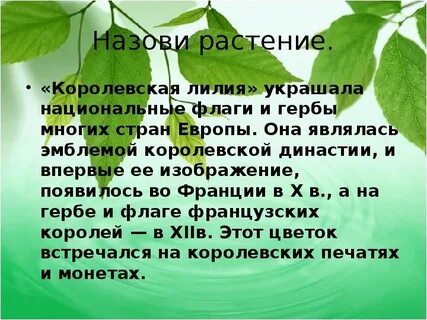 Группа слов называющих растения