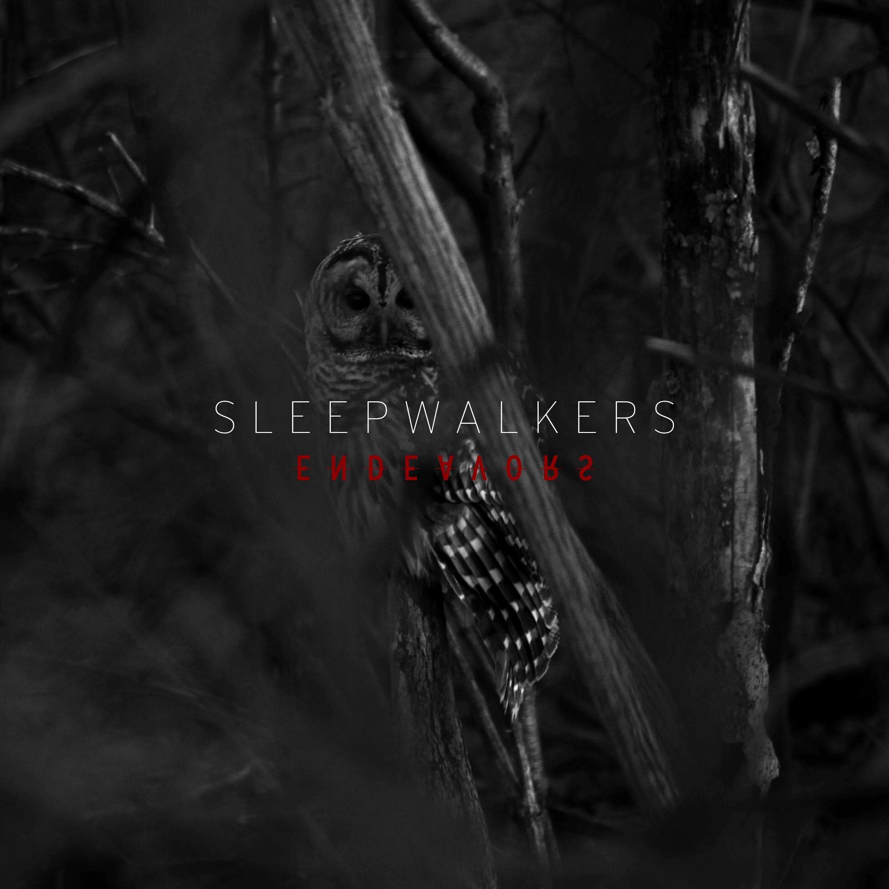 Sleepwalker x death. Tyler sleepwalker. endeavours album cover. tell me a fairytale sleepwalker.