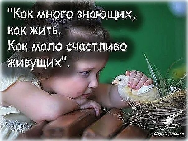 Как много правильно живущих. Как много знающих как жить. цитаты как много знающих как жить. как много знающих как жить как. знающих как жить.