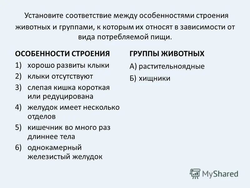 Установите соответствие. Установите соответствие ме. Установите соответствие между бактерией и.