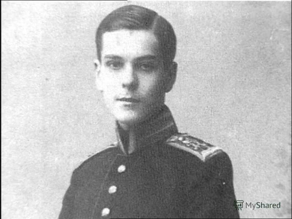 палей википедия