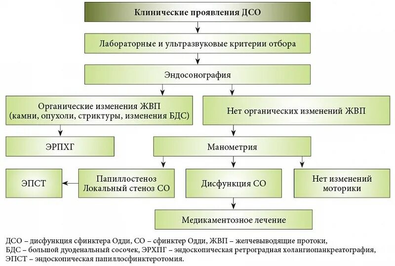 Сфинктер дисфункция симптомы. Дисфункция сфинктера одди патогенез. диагностические критерии дисфункции сфинктера одди. этиология дисфункции сфинктера одди. клинические типы дисфункции сфинктера одди.