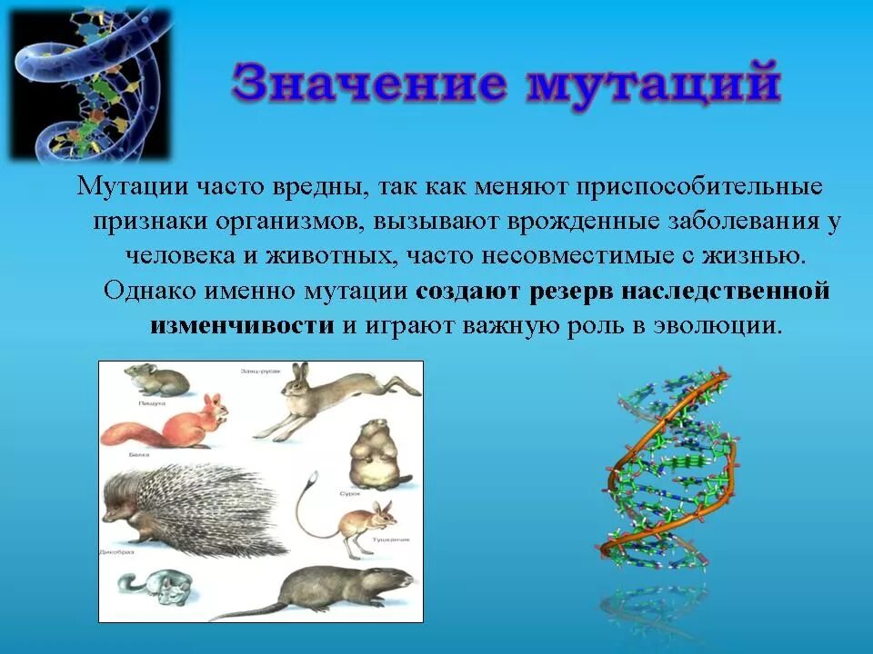 Мутационное изменение организма. Роль генных мутаций в эволюции. Биологическое значение мутаций. Мутация это в биологии. Мутации в эволюционном процессе.