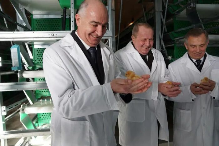 Птицефабрика кахун. Пионерская птицефабрика камчатка. Директор птицефабрики бройлер. Пионеры на птицефабрике. Аксайская птицефабрика.