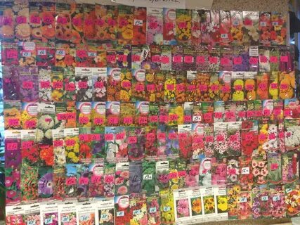 дом семян на васильевском острове (186) фото