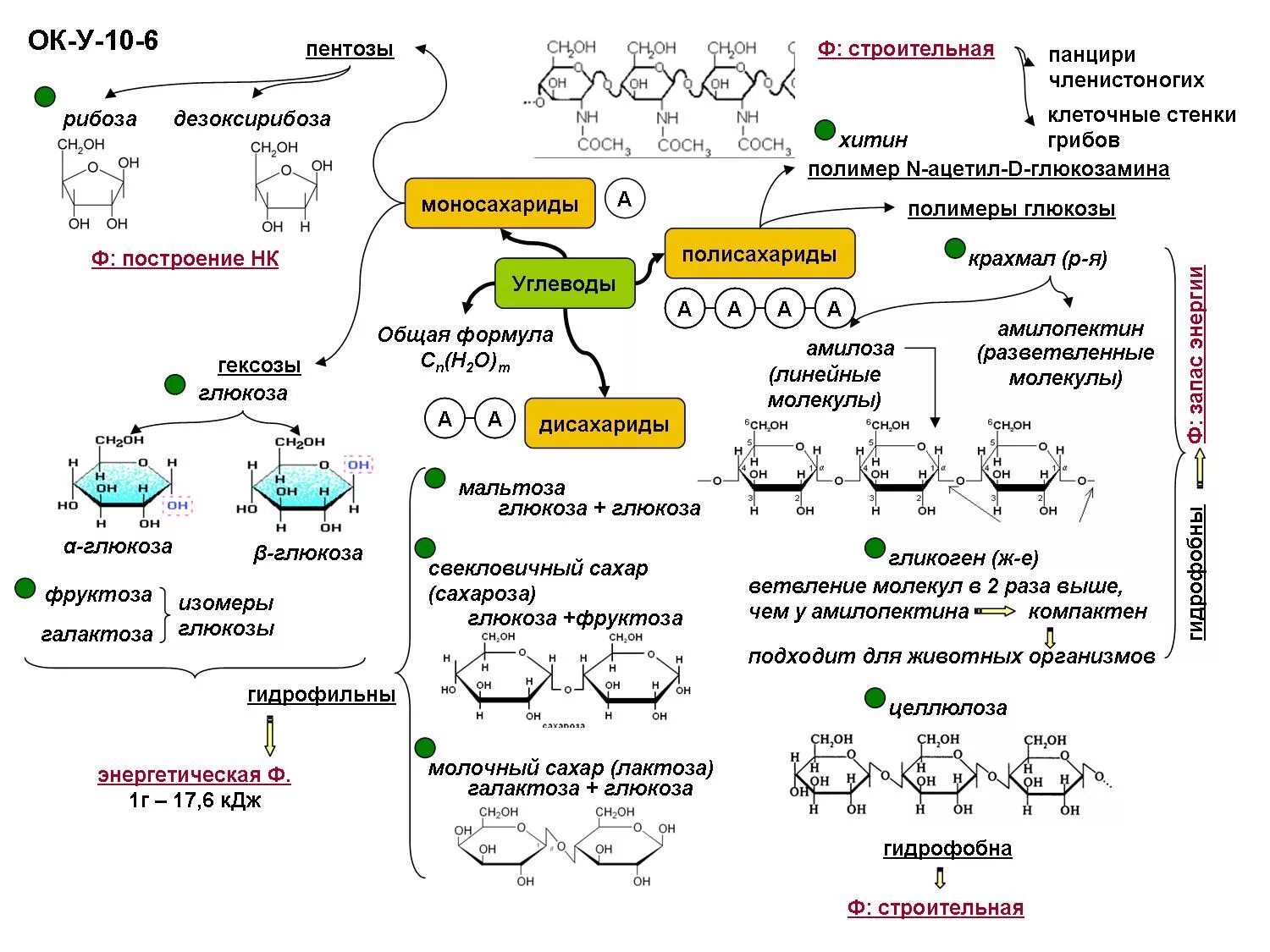 Строение углеводов биохимия. Схема углеводов биология 10 класс. Химическое строение углеводов биохимия. Углеводы схема по биологии 10 класс.
