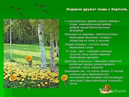 Если понять душу леса сочинение