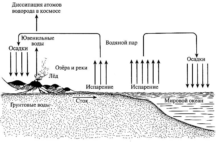 Круговорот воды в биосфере схема. Круговорот водорода схема. Круговорот водорода в природе. Круговорот воды в биосфере схема простая. Цикл воды в организме