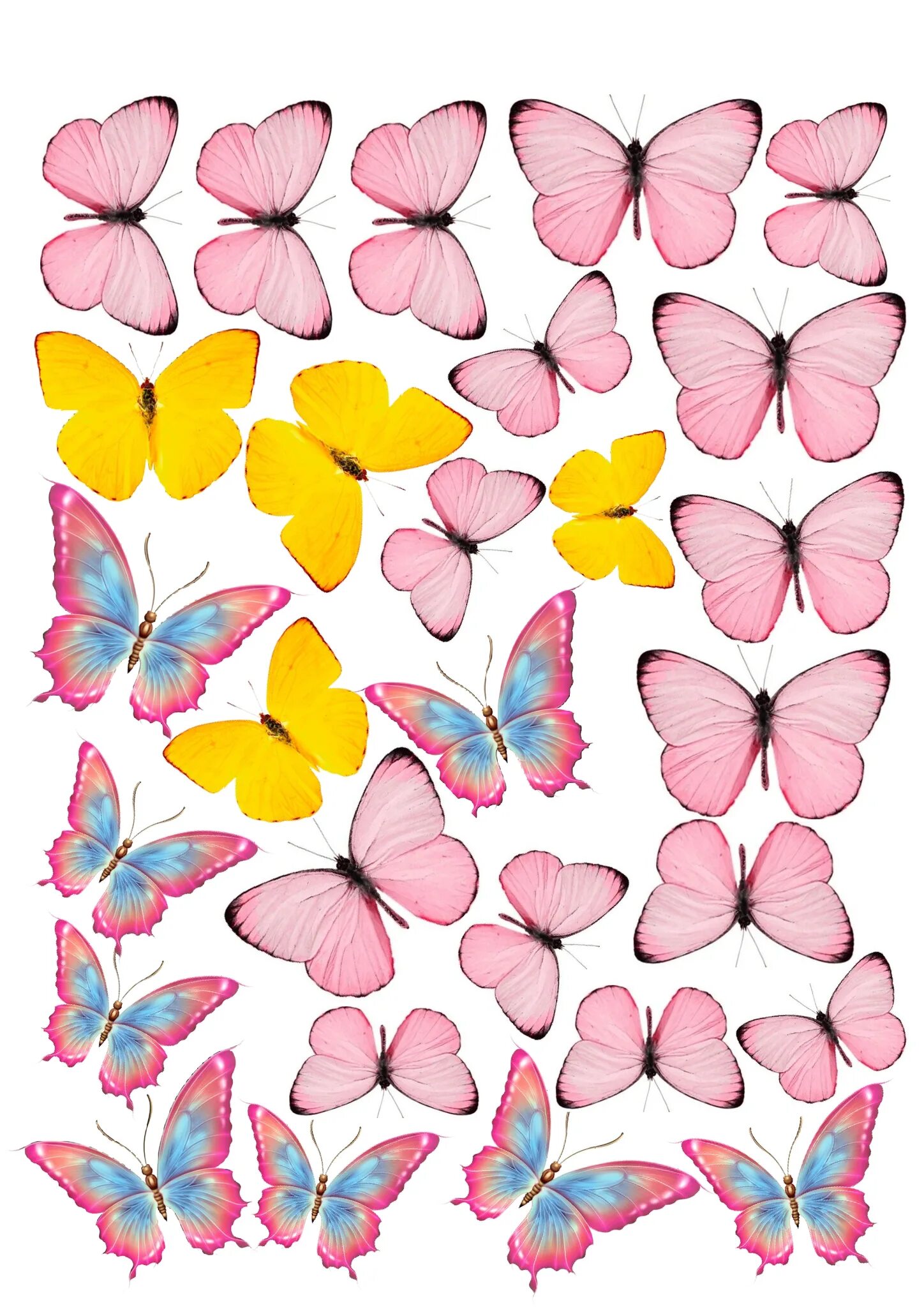 Бабочки для печати на торт. Бабочки для вафельной печати. Торт «бабочки». Бабочки на вафельной бумаге.