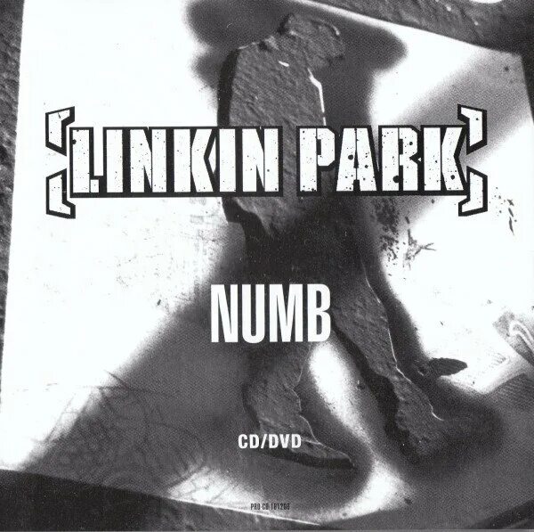 Линкин парк ремикс. Numb. линкин парк каверы. девушка numb. обложка с пенисом linkin park.