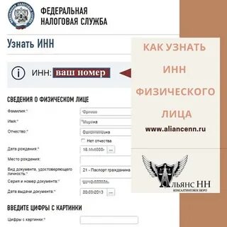 Номер налогоплательщика в беларуси как узнать
