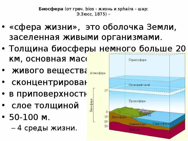 Что входит в биосферу