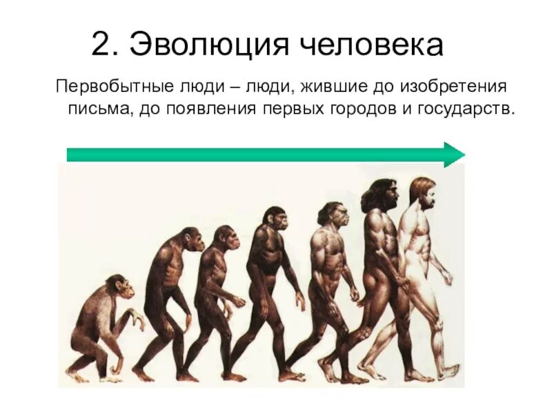 Эволюция первобытного. Эволюция человека. Этапы развития человека. Первобытные люди Эволюция. Этапы эволюции человека.