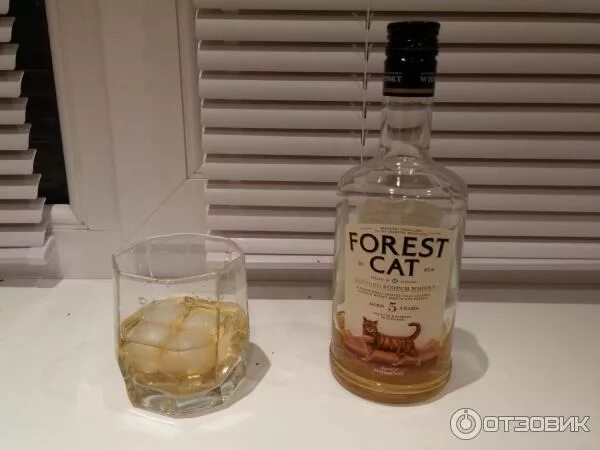 Форест кат виски. Форест Кэт виски купаж. 0,5л 40%. Виски шотландский Форест кат 5 лет. Виски игристые вина Forest Cat