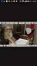 Установили тут