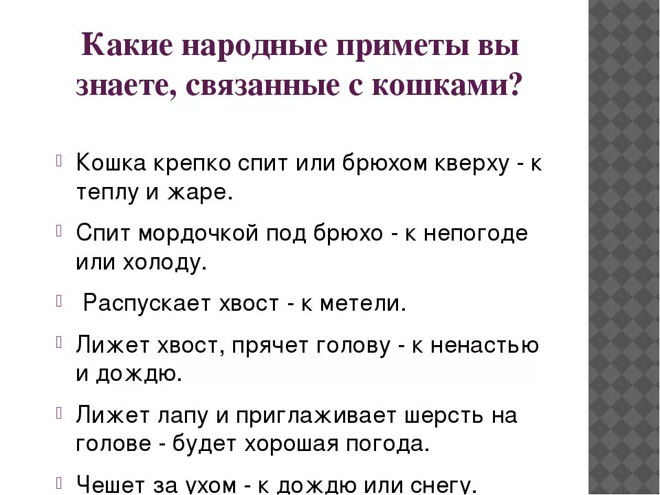 Плохие приметы в доме. Хорошие и плохие приметы. Приметы связанные с кошками. Приметы человека. Красивые приметы