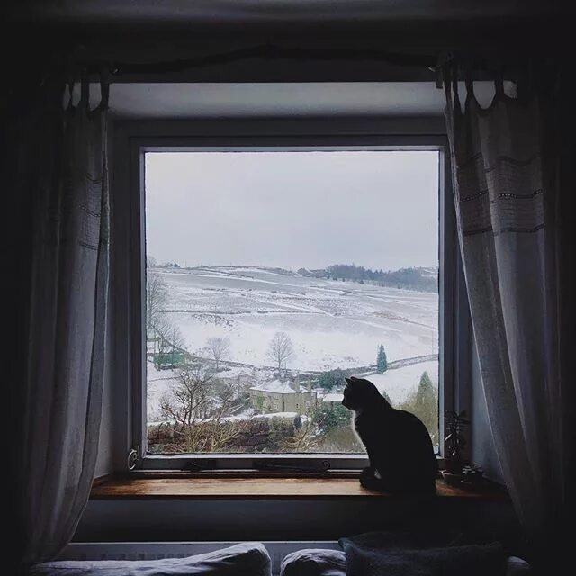 The time window