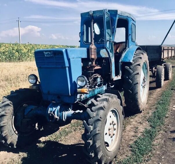 Т-40 (трактор). Т 40 ам. Трактор т 40 новый. Т 40 ам новый.