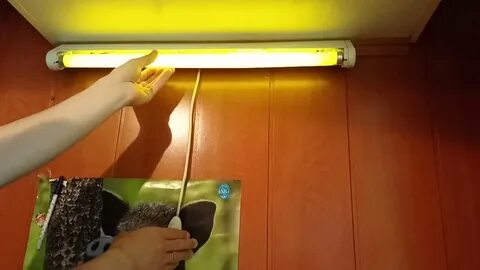 Заменить лампу дневного