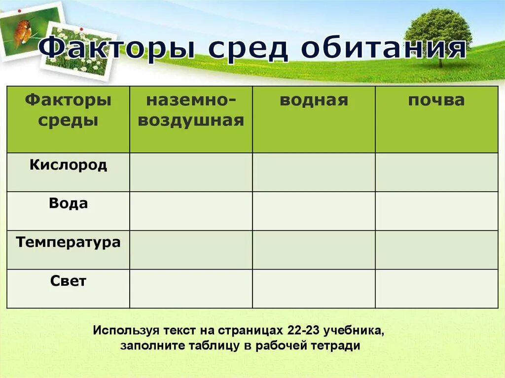 Условия в разных средах жизни