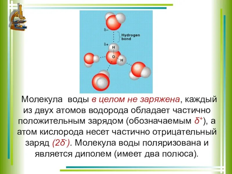 Отрицательный заряд в молекуле воды