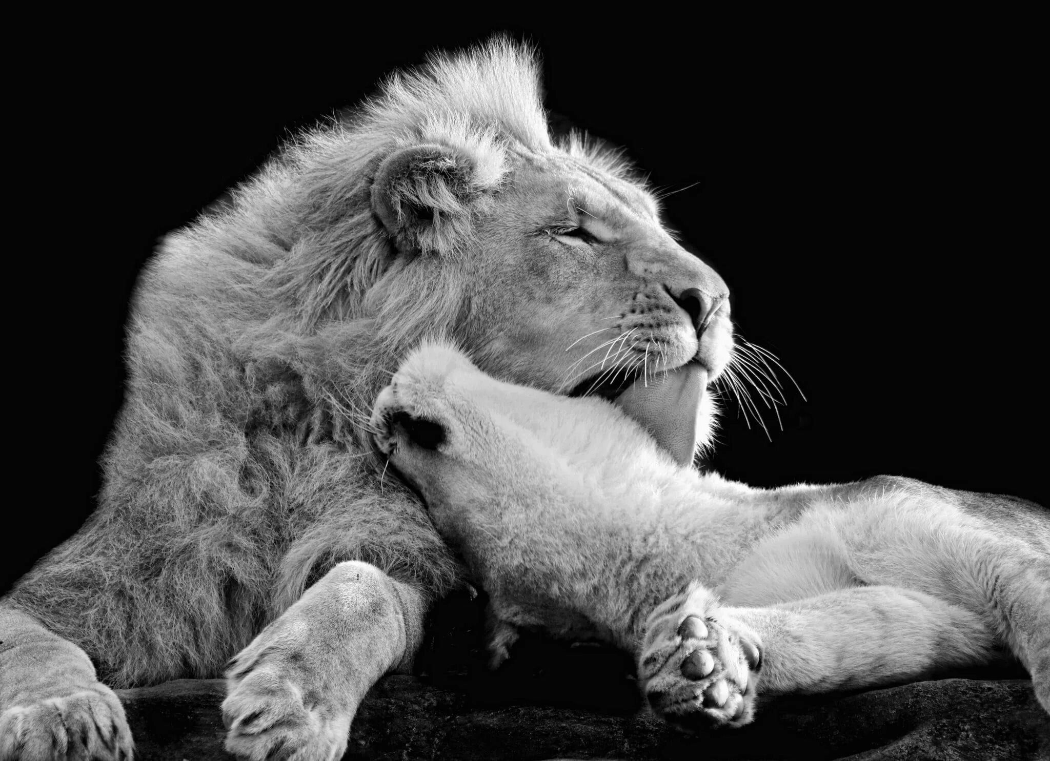 Affection between