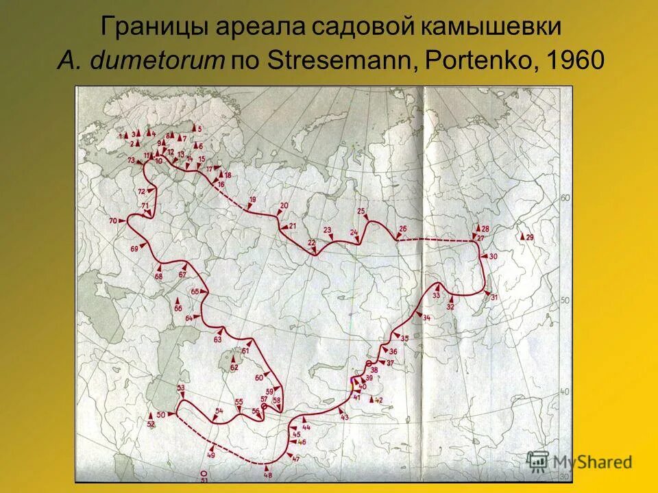 границы ареалов. границы ареалов. учение об ареале границы. ленточный ареал. границы ареалов.