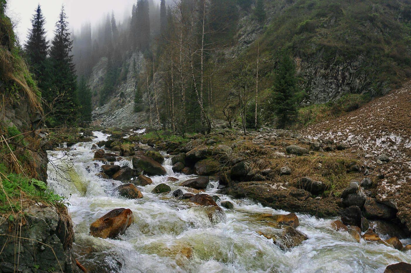 Горный лабы. Горная река малая Лаба. Лаба Горная река поселок Курджиново. Ущелья реки Лаба. Долина реки Лаба.