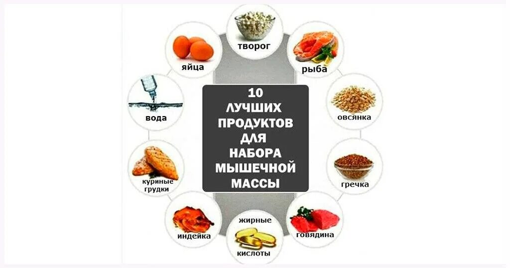 Белковая еда список продуктов набор мышечной массы. Белковая пища список продуктов для набора мышечной массы веса. Белки список продуктов для набора мышечной массы. Еда с высоким содержанием белка для набора мышечной массы.