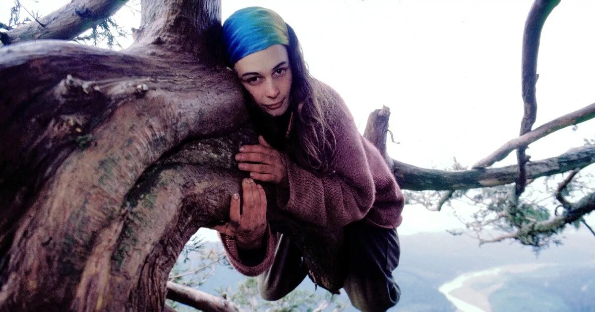 Девушка спасает леса. Девушка спасает леса. Волшебные лесные существа. Сумерки фотосессия. Джулия «баттерфляй» хилл.