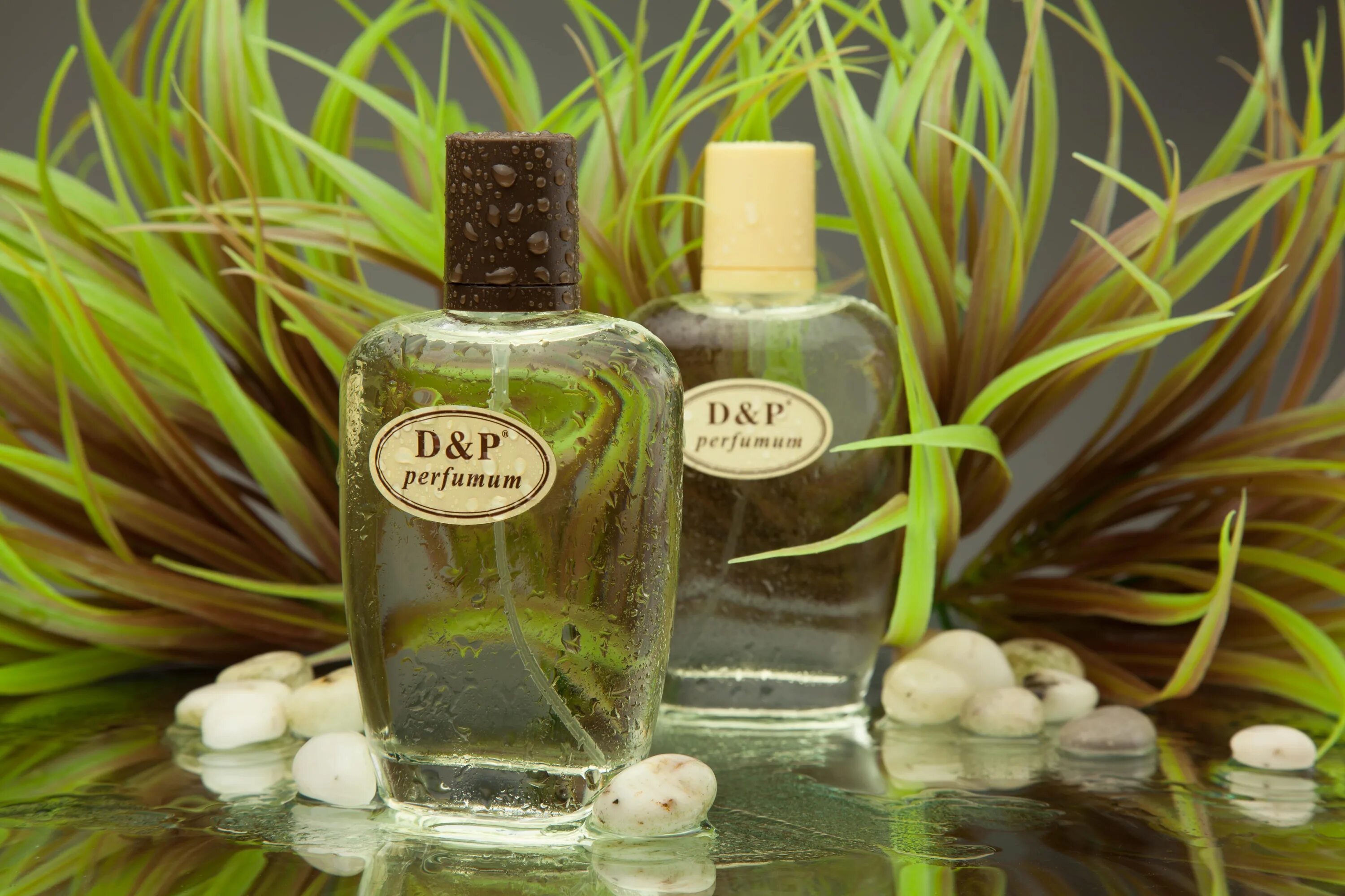 Парфюм d p perfumum. D p parfum таблица. Духи d p perfumum унисекс. D p c 18. Духи d p perfumum таблица.