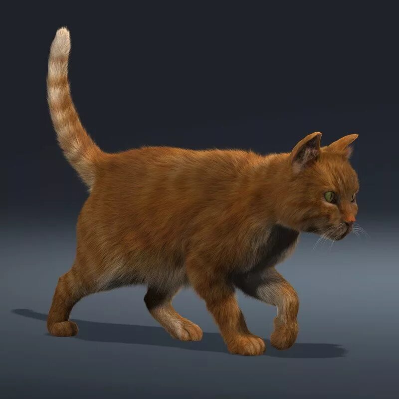 Кошка d. Катс 3д. коты воители 3д модели. кошка 3d max. котик 3д модель.