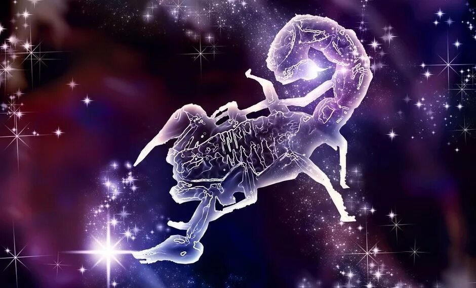 Февраль 2025 год скорпион. Знаки зодиака. знак зодиака скорпион. зодиак скорпион фото. знаки зодиака картинки красивые.