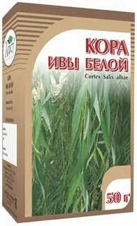 Ива белая противопоказания