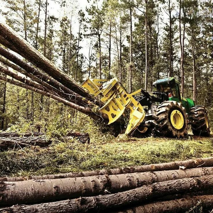 Logger log
