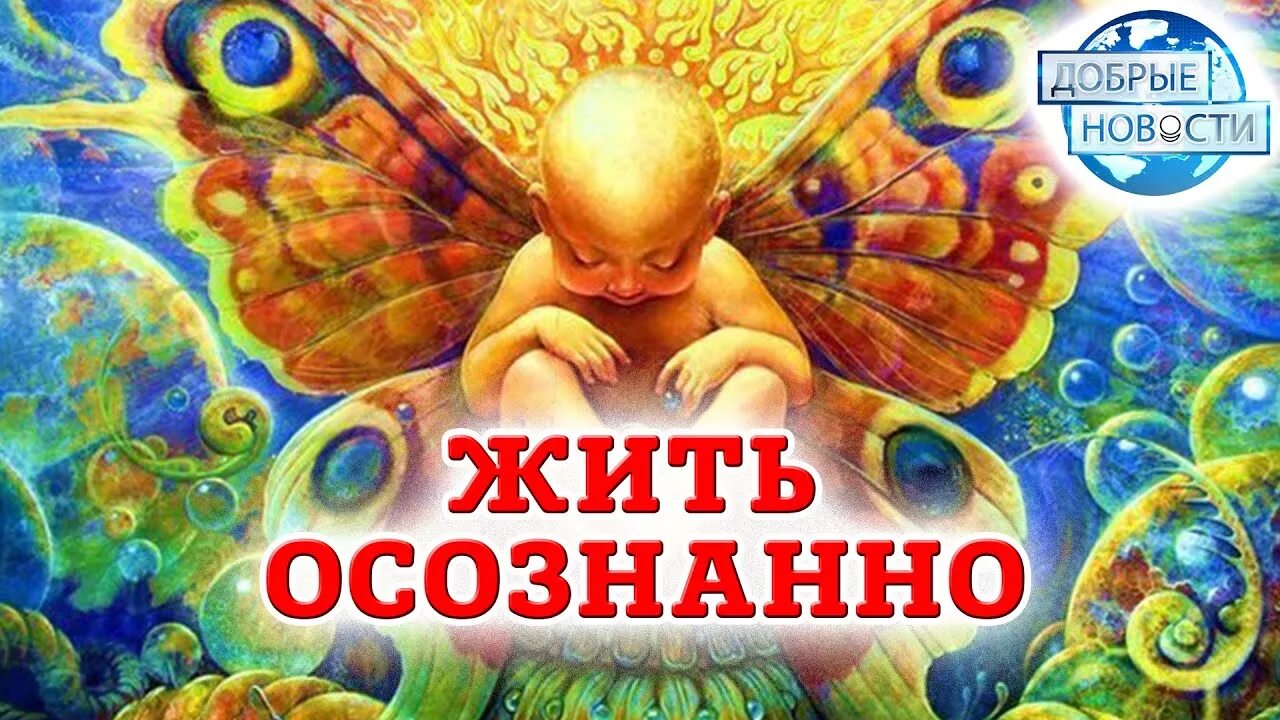Осознаю жизнь. Жить осознанно. осознанная жизнь. живи осознанно. жить осознанно картинки.