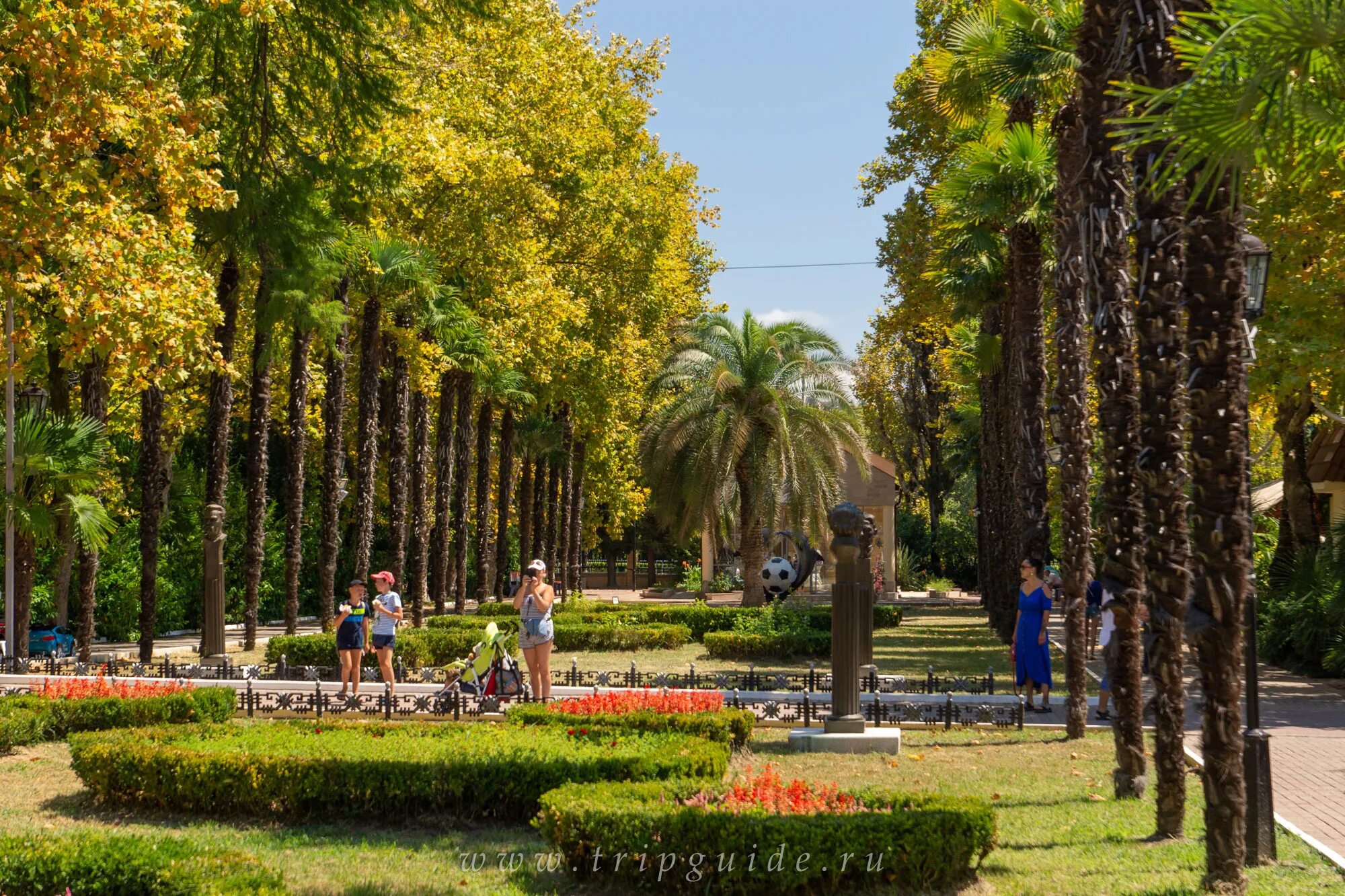 парк имени горького сочи. городской парк сочи ривьера. адлер парк ривьера. парк ривьера сочи сочи. сколько лет сочи парку.
