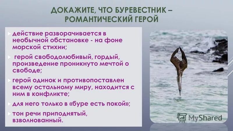 буревестник лермонтов