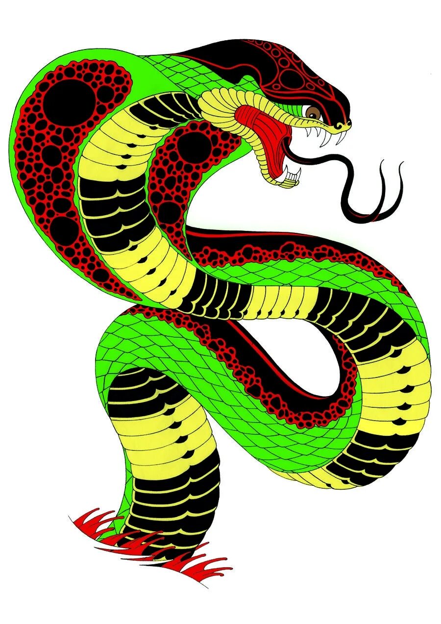 Змея арт. Green snake vector. Третичная структура белка. Уроборос древний египет. Разноцветные змеи.