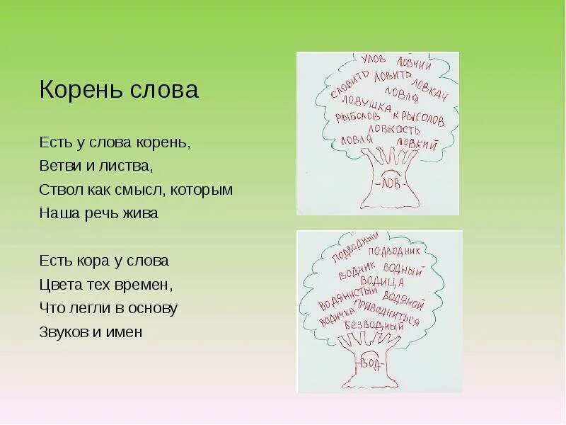 Корень слова пил. Корень слова слова. Корень слова что такое корень слова. Корень слова корень. Слово слова корень слова.