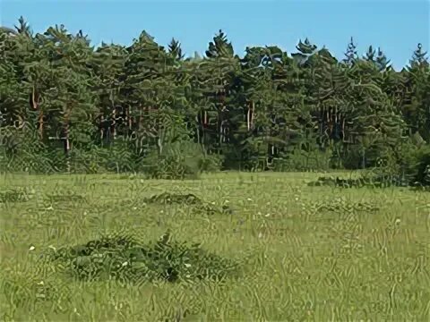 Малая википедия